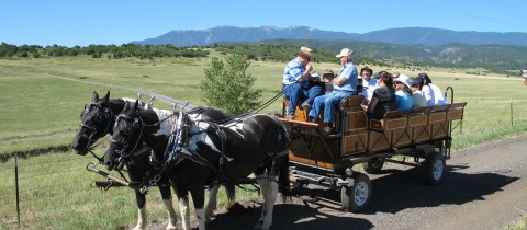 Wagon Rides