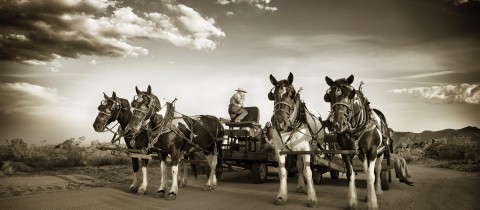 Brett’s Desert Adventures featured on America’s Heartland!